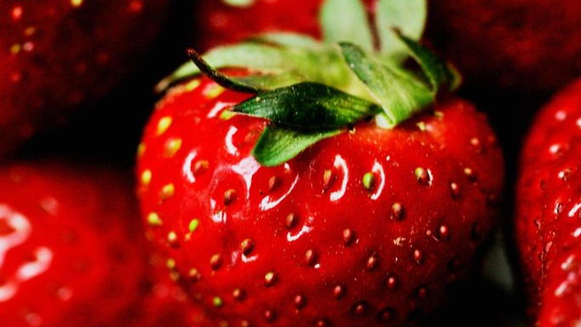 The Strawberry Festival celebrating Spring’s most delicious harvest, includes food, music, games and activities for the whole family in Durham.