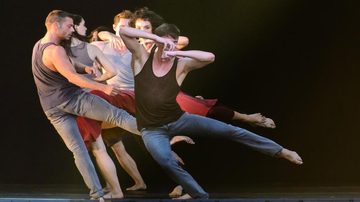 
Israeli-born choreographer Zvi Gotheiner of ZviDance collaborates with his dancers to make works about community that also embrace diversity, melding old genres with new.
