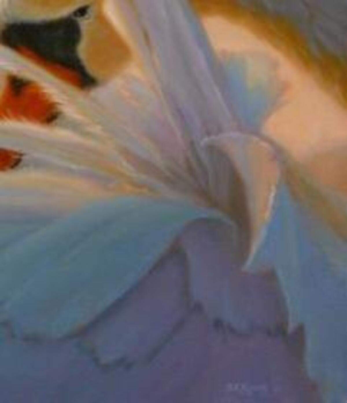
Sonia Kane’s “Feather Light II” will be part of her solo exhibit of oil paintings at City Gallery in Raleigh.


