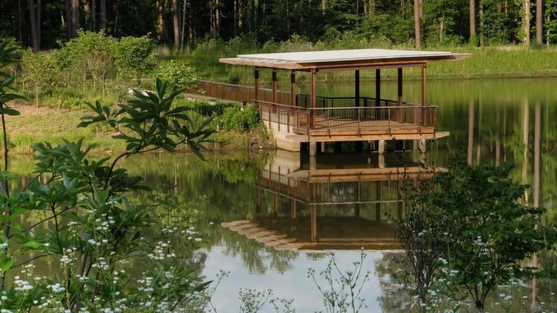 Duke Pond, a new, 6-acre pond was scooped out of 12 wooded acres on Duke University’s campus in Durham.