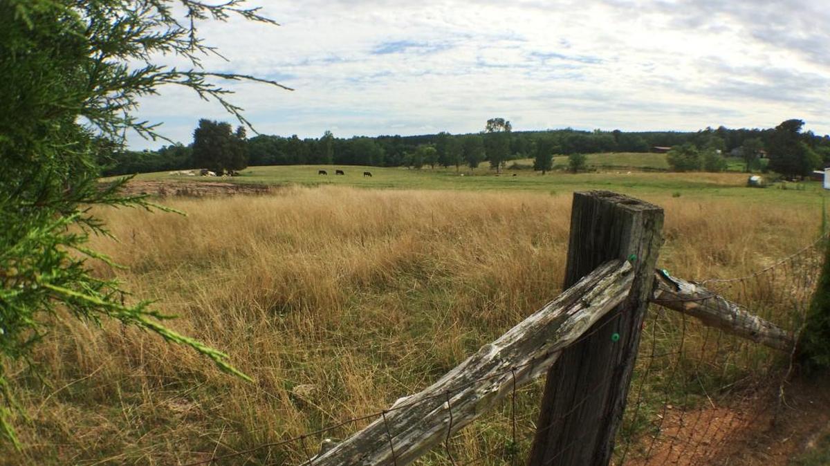 
John Lawson, exploring the Carolinas in the 1700s called it a delicious country. Scott Huler, following in his steps, says it’s hard to disagree.
