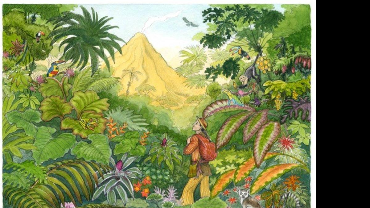 
Stacye Leanza’s illustrations for the book 
