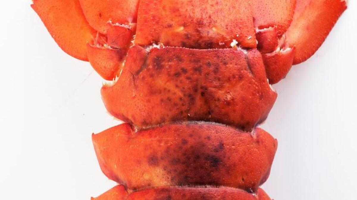 
Check out the popular Cousins Maine Lobster truck and at least 50 others from across the state at this evening Food Truck Rodeo. 
