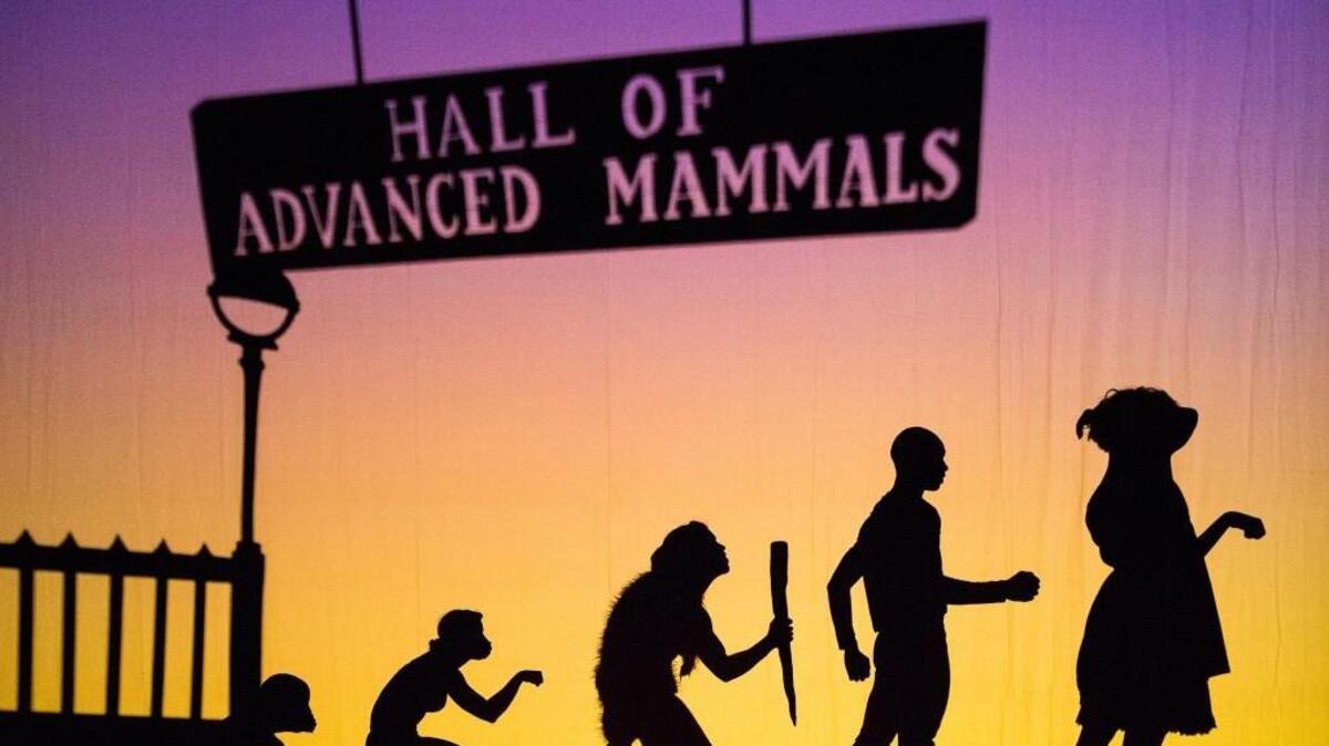 Part of the American Dance Festival, Pilobolus, one of the most theatrical of dance companies, brings its full-length version of “Shadowland” to the Durham Performing Arts Center Friday and Saturday.