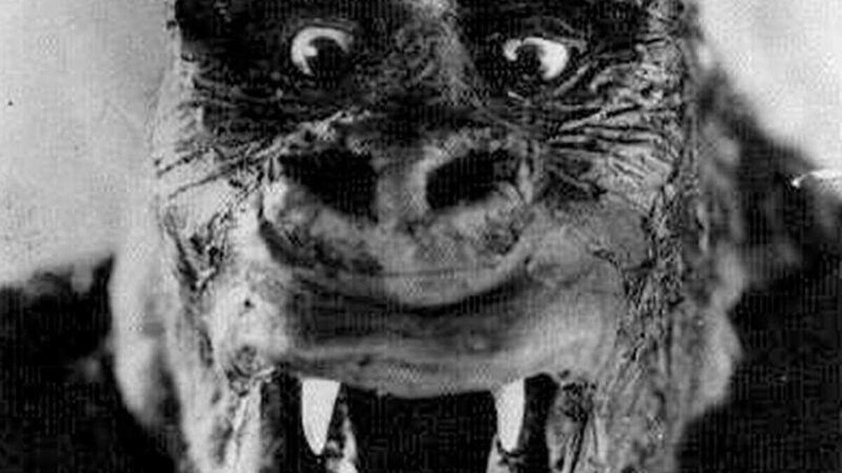 “King Kong vs. Godzilla” screens as part of ComiQuest at the Carolina Theatre.