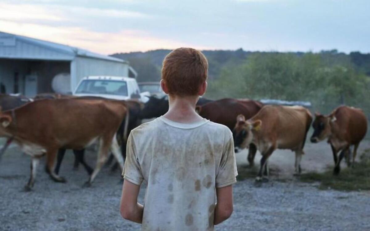 SDF-supported “Farmsteaders” by Shaena Mallett is about an Appalachian man trying to resurrect his family farm.