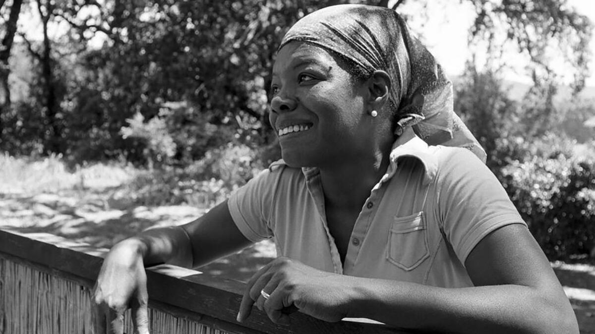 Dr. Maya Angelou in Sonoma, California.
