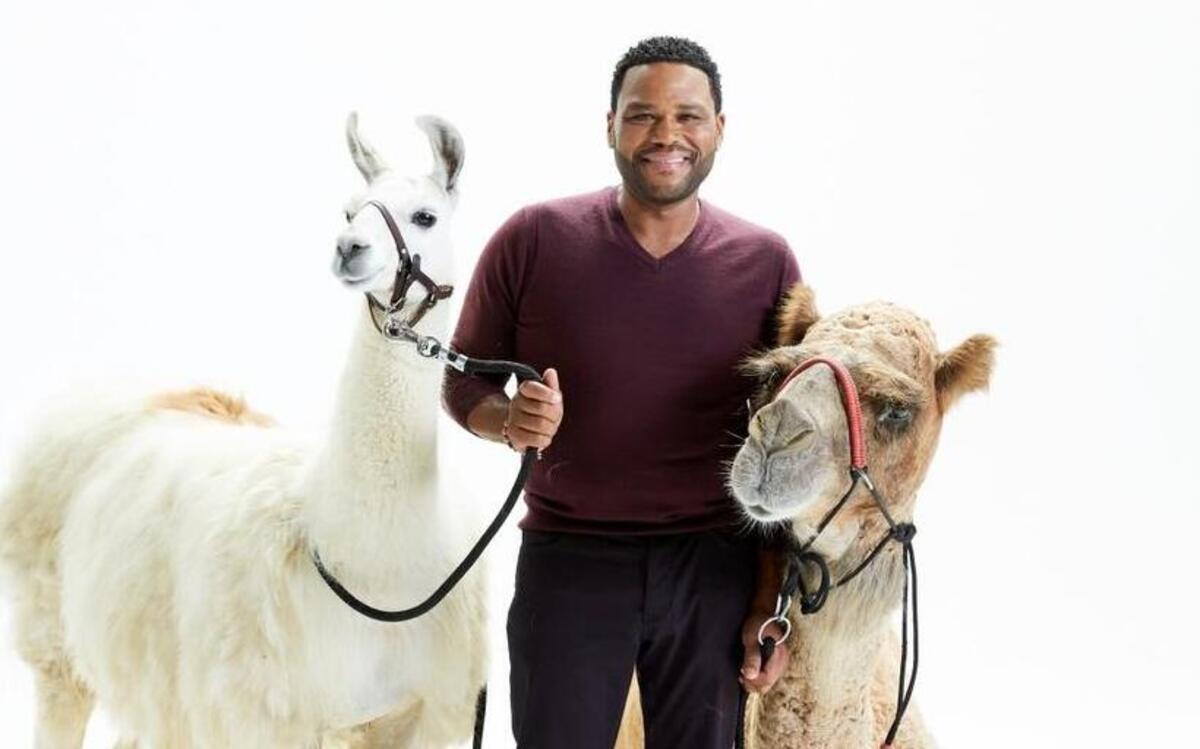 Anthony Anderson of “Animal Nation with Anthony Anderson” on Animal Planet.