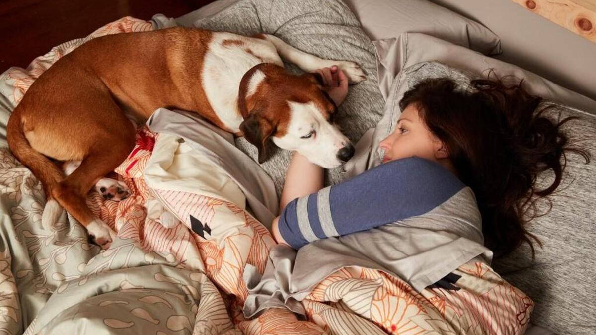 ABC's "Downward Dog" stars Ned as Martin and Allison Tolman as Nan.