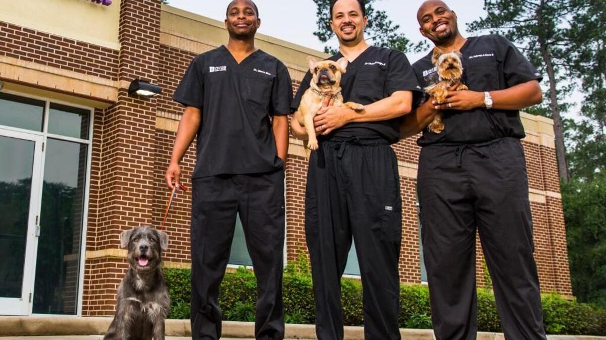 (L-R): Dr. Blue, Dr. Ross and Dr. Lavigne as seen on Animal Planet’s new series, “The Vet Life.”