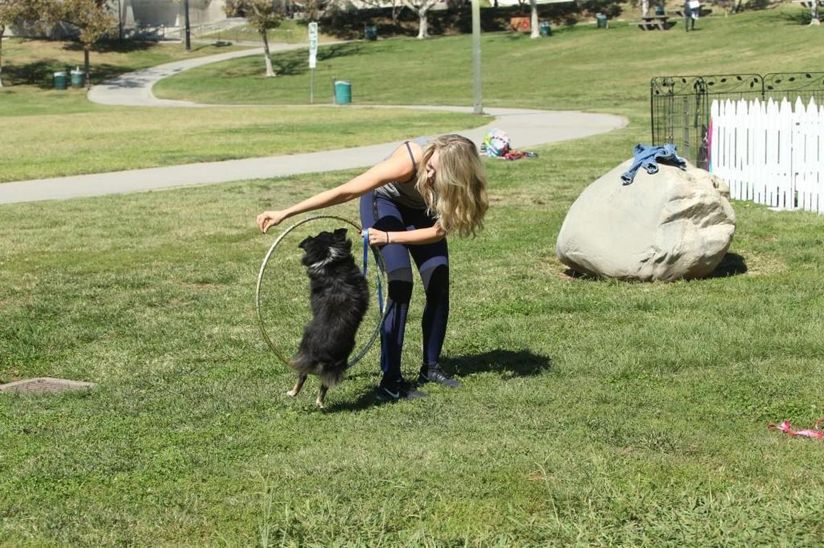 Jenna Cooper works with a dog for the “Arie’s Amazing Acrodogs” show on ABC’s “The Bachelor.”