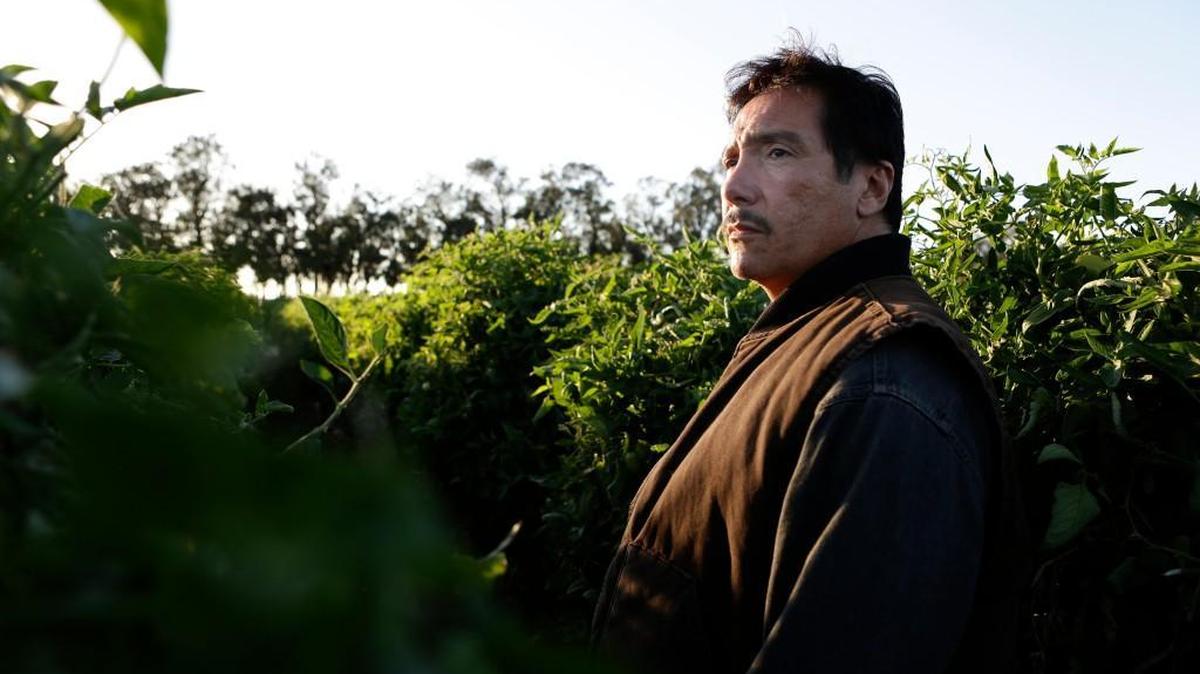 Benito Martinez as Luis Salazar in the third season of ABC’s “American Crime.”