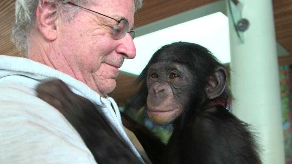Lawyer Steve Wise and Teko in the documentary “Unlocking the Cage” on HBO.