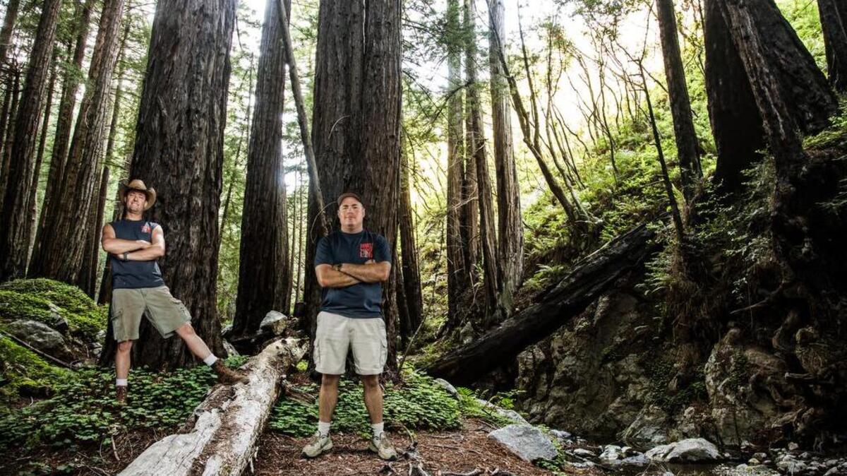 
Twin brothers and business partners John (left) and Ron Daniels are master craftsmen creating one-of-a-kind works of art from reclaimed wood in “Redwood Kings.”
