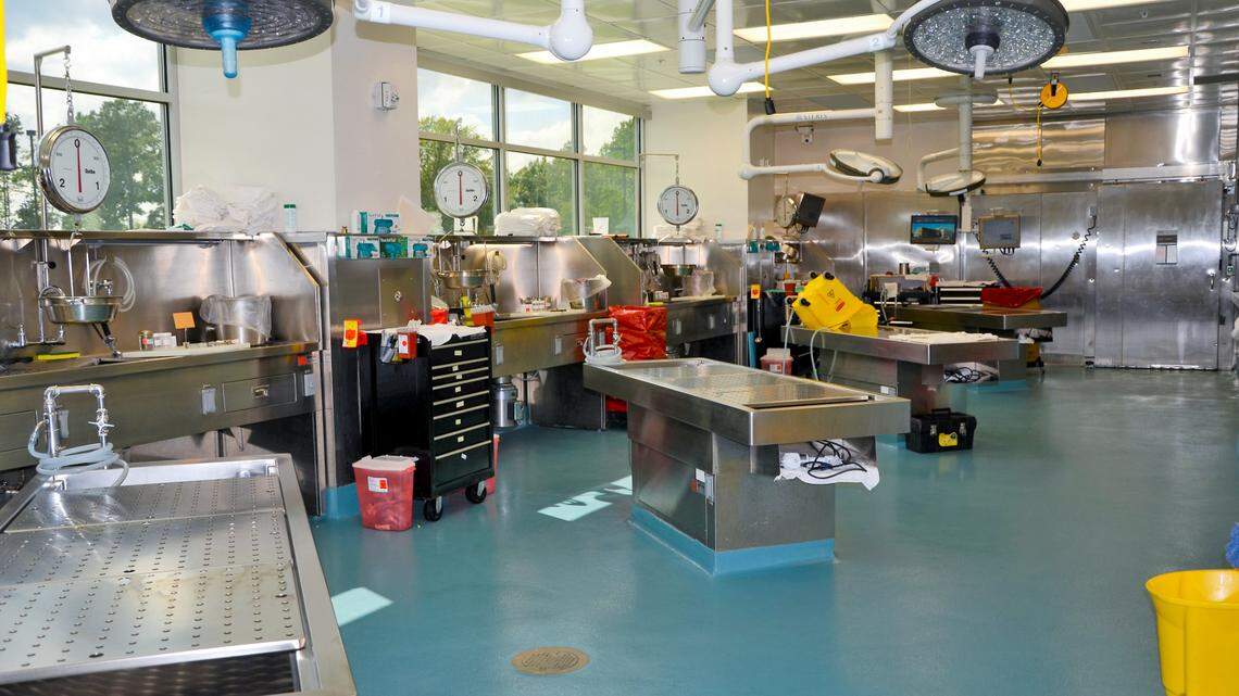 NC county to start storing bodies requiring autopsies in shipping containers