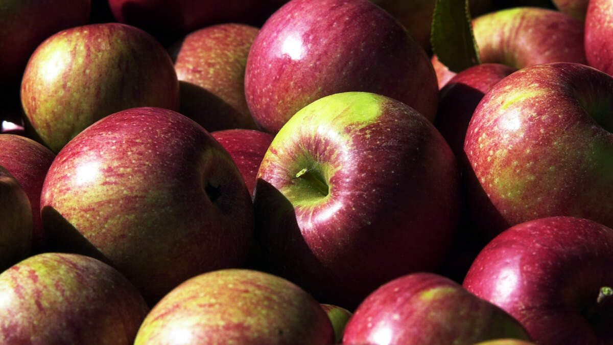 Triangle residents will have a variety of options for grocery shopping on July 4.