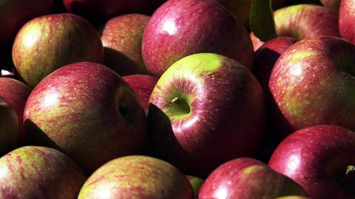 Popular grocery chain plans a new store in Cary. Here’s what to know