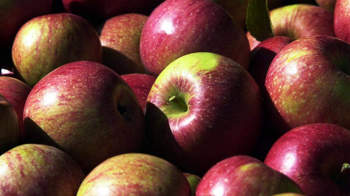 Cary is getting another grocery store.