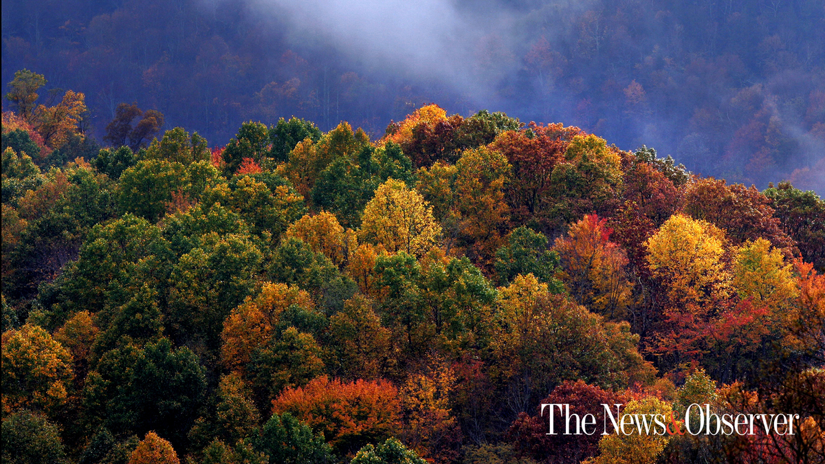 Fall foliage, North Carolina