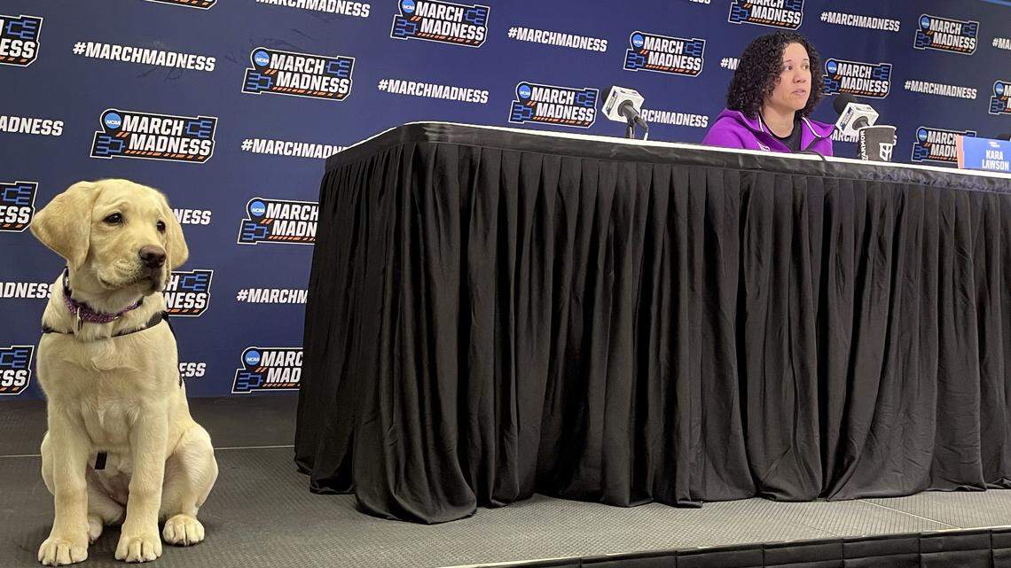 Duke women’s basketball goes to the dogs. Meet the Blue Devils’ team puppy