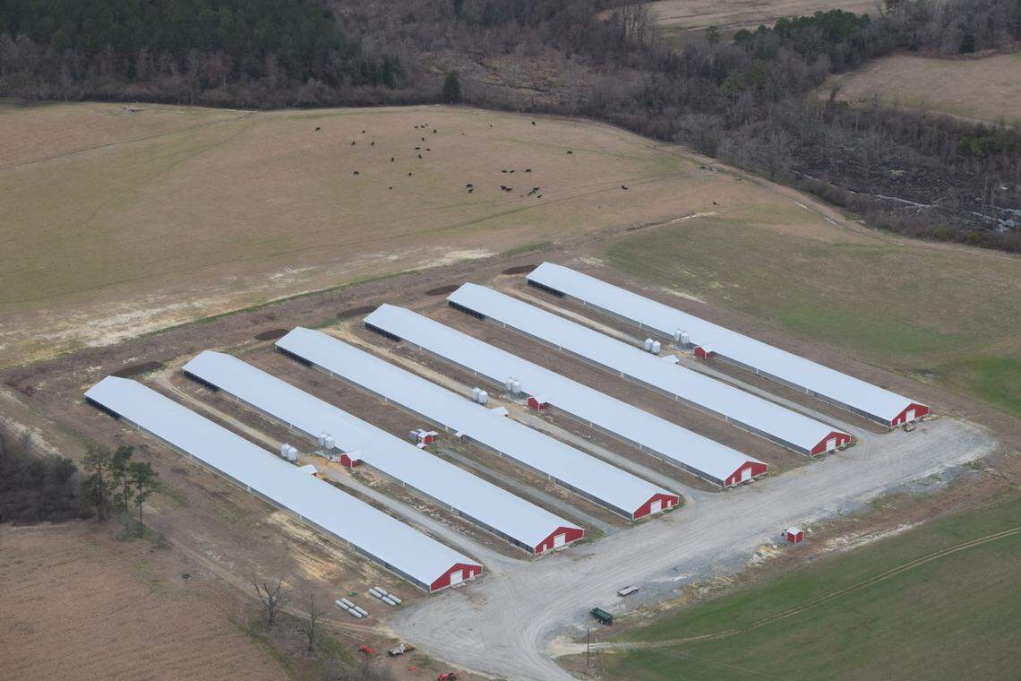 A poultry farm in Duplin County, as seen from the sky.