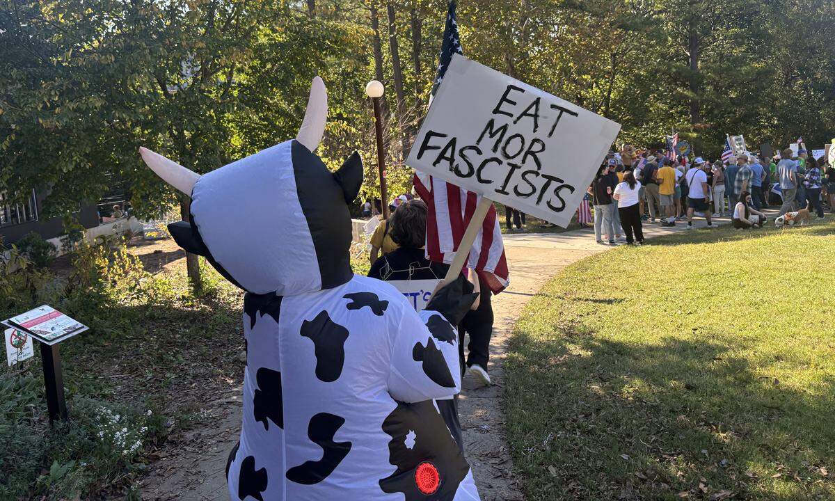 A No Kings protester in a cow costume heads to the rally in Durham.
