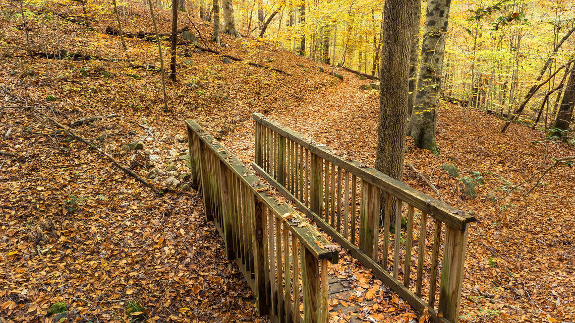 Fall season 2024 weather forecast for North Carolina | Raleigh News ...