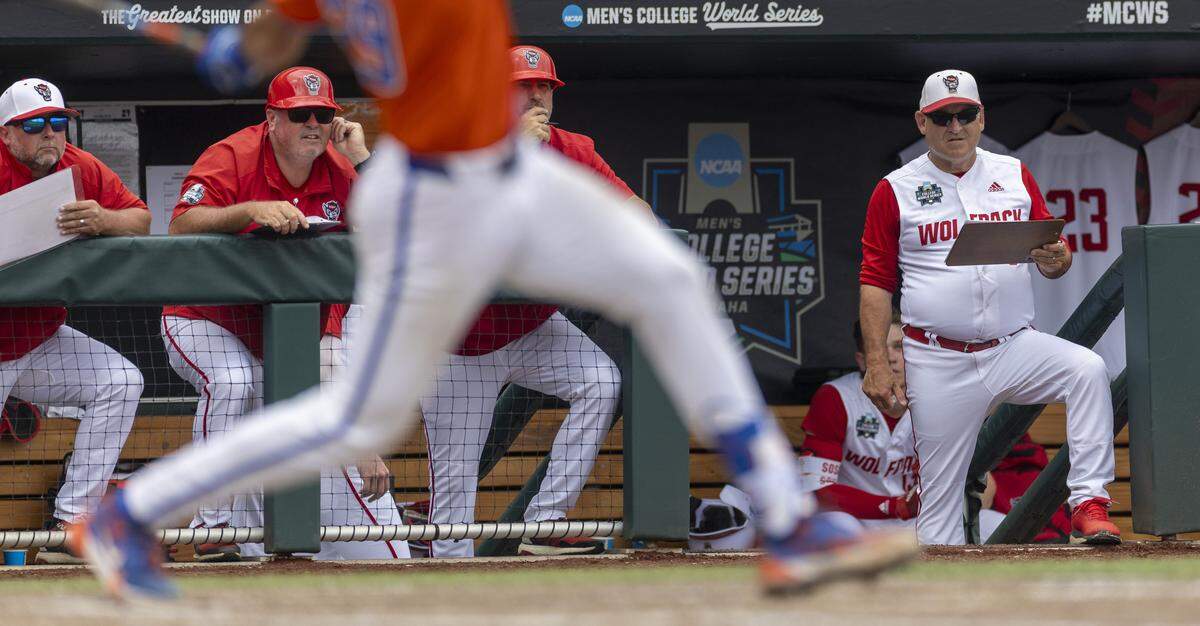 N.C. State coach Elliott Avent watches Florida catcher Brody Donay (29) bat in the eighth inning during game seven of the College World Series on Monday, June 17, 2024 at Charles Schwab Field in Omaha, Nebraska.