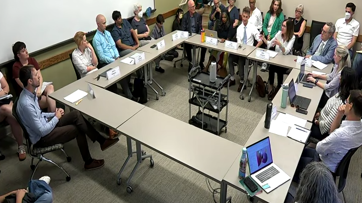 The UNC-Chapel Hill Faculty Executive Committee meets Monday, Aug. 25, 2025, where they discussed the removal of a student-created, pro-Palestinian mural from a campus building.