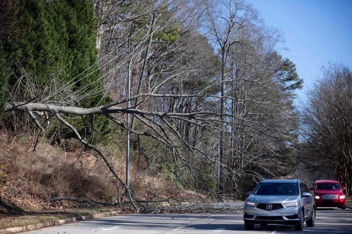 Vehicles on Cary Parkway in Cary, N.C. make their way around a large oak tree toppled onto power lines by high winds Friday afternoon, Dec. 23, 2022.