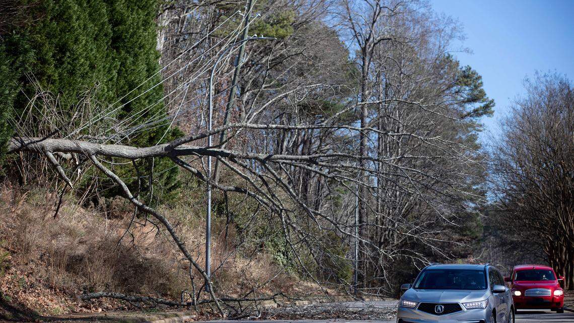 Vehicles on Cary Parkway in Cary, N.C. make their way around a large oak tree toppled onto power lines by high winds Friday afternoon, Dec. 23, 2022. Downed trees caused power outages throughout the Triangle.