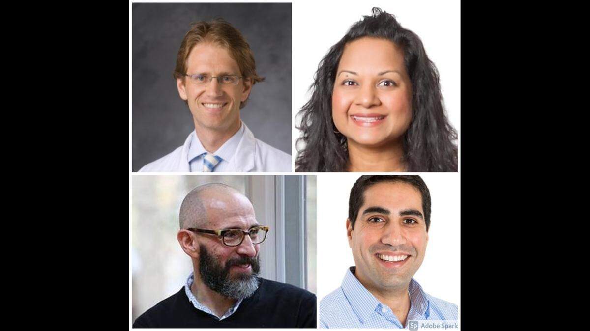 Clockwise: Dr. David Cameron Wolfe, an infectious disease specialist at Duke University School of Medicine; Dr. Anita Skariah, a UNC Health internist and pediatrician; Dr. Amir Barzin, professor and director of UNC Family Medicine Center; and Dr. David Alain Wohl, a professor at the Institute of Global Health and Infectious Diseases at UNC-Chapel Hill.