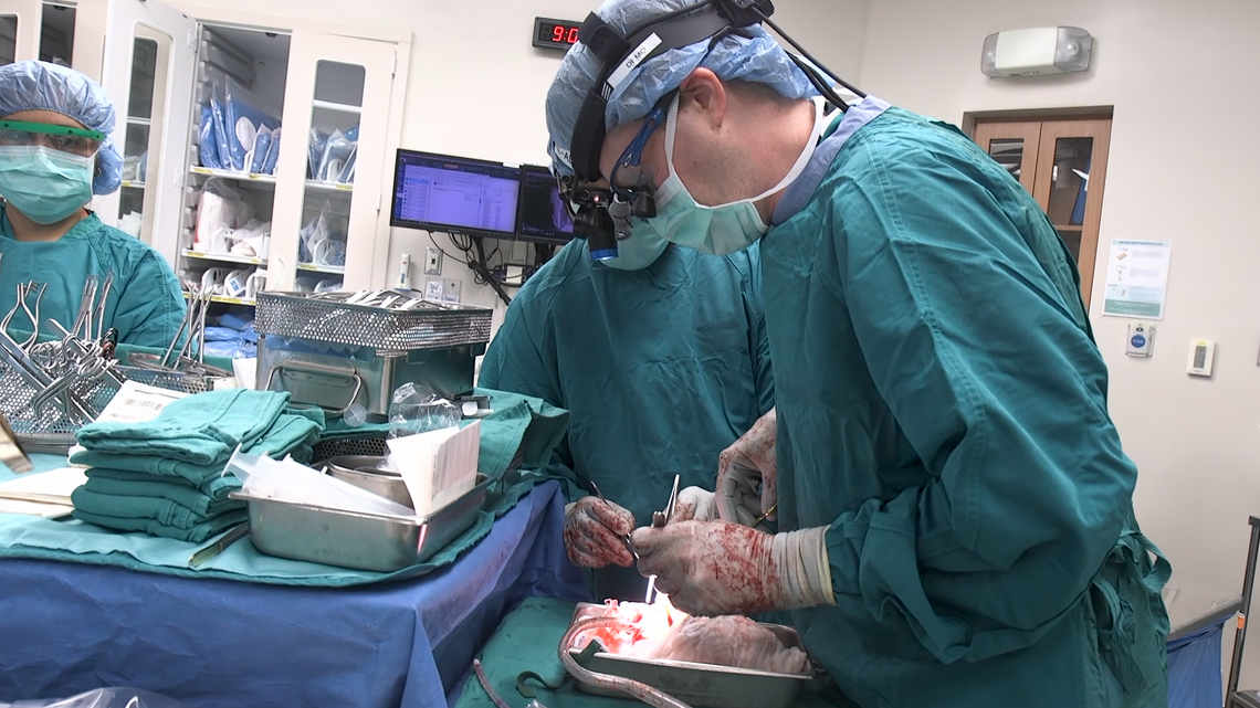 New heart transplant method could expand donor pool by 30%, Duke researchers find