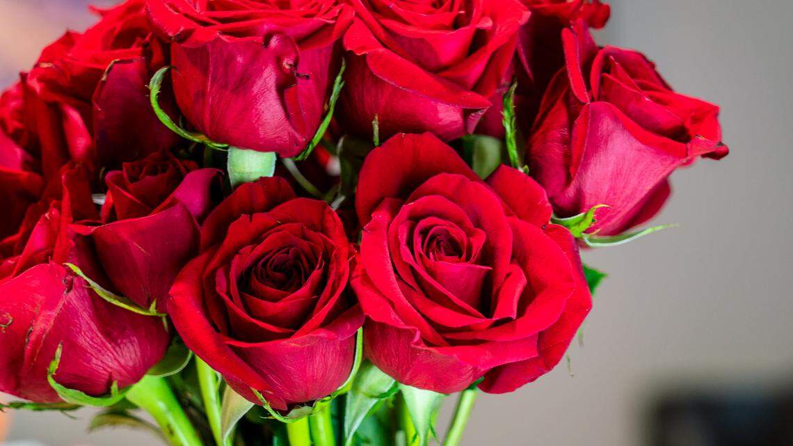 Here are 3 last-minute Valentine’s Day events to attend on Hilton Head