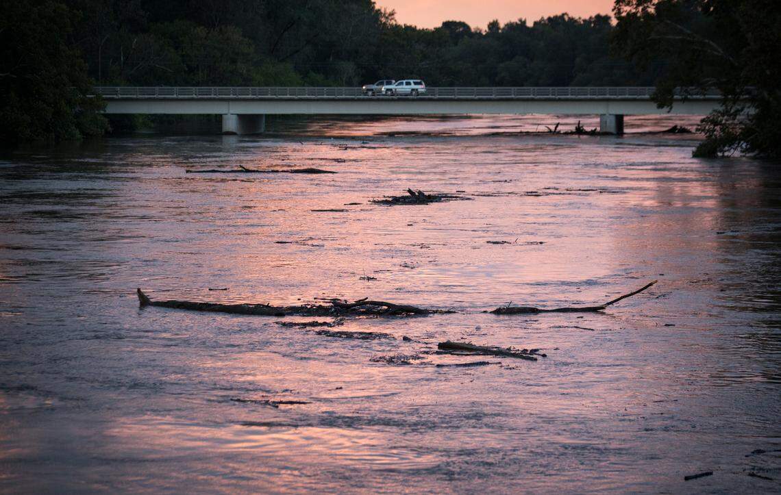 Tree trunks float down the rising Cape Fear River through Fayetteville, N.C. towards a bridge on Person St. on Monday, September 17, 2018.