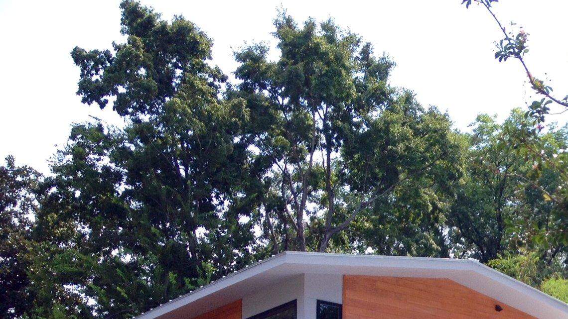 Superior Court Judge Elaine Bushfan announced this week that she will rule in favor of this controversial modernist house in the historic Oakwood neighborhood.