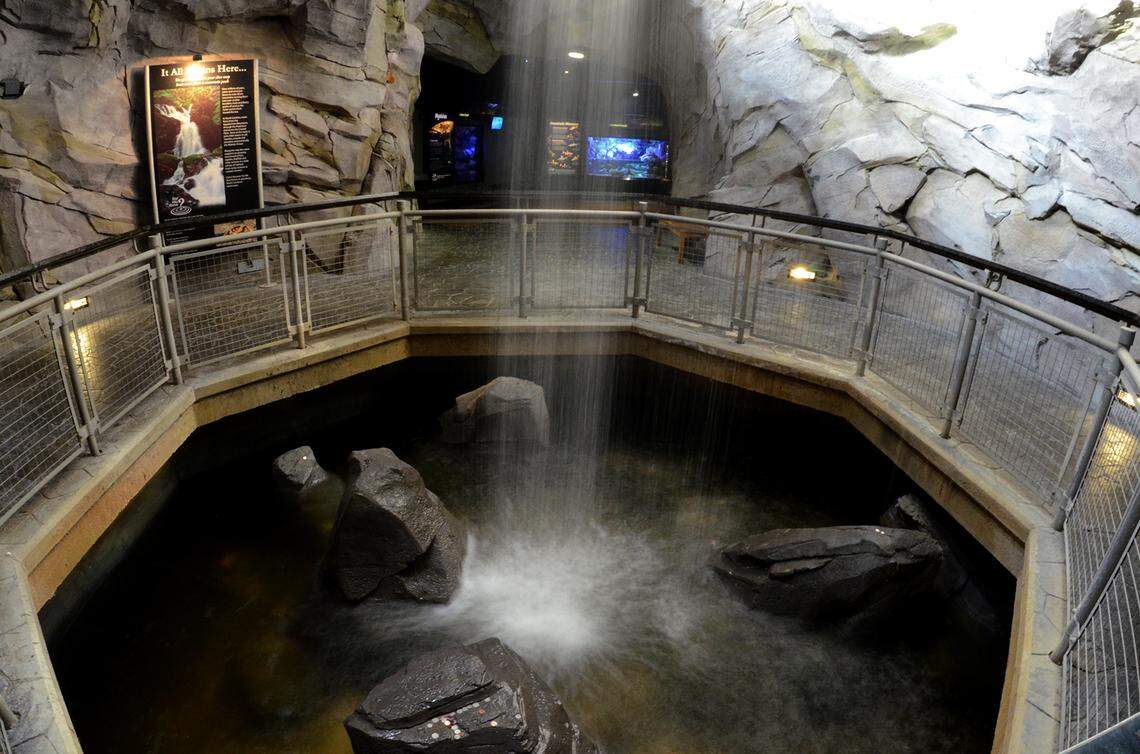 The 30-foot water fixture known as the Smoky Mountain waterfall was installed in 2006 and inadvertently became a wishing well for visitors.