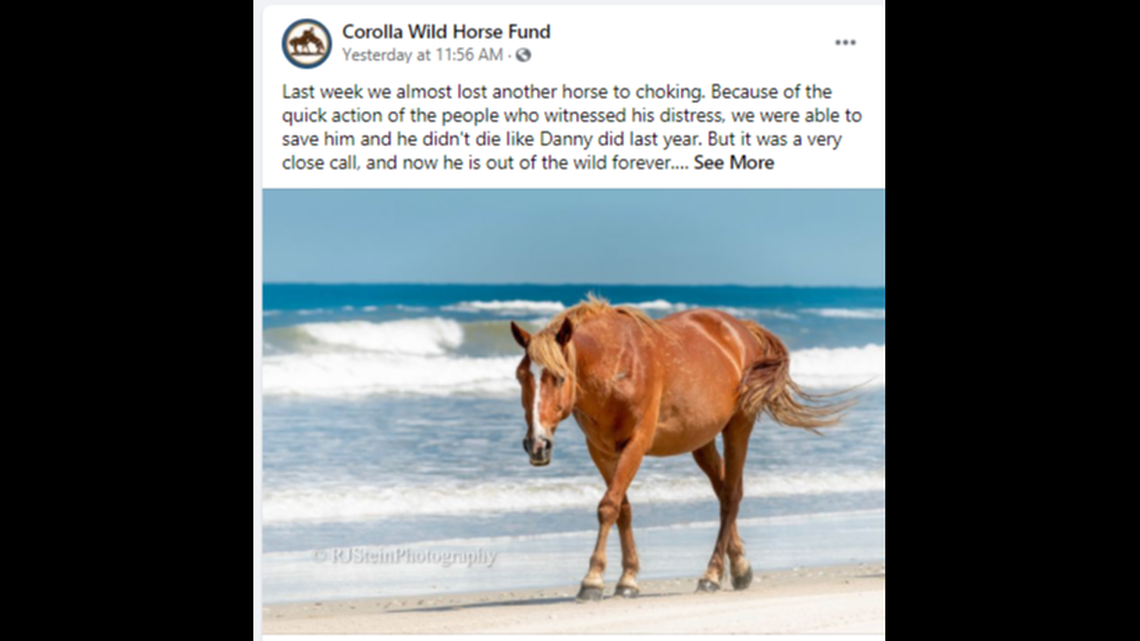 A wild horse found choking on the Outer Banks will have to live out its life at a rescue farm due to its injuries, according to the Corolla Wild Horse Fund.