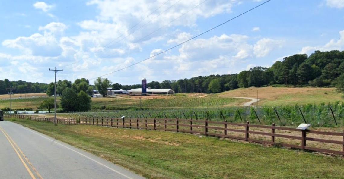 Greg Bohlen bought the former Maple View Farm in 2021 and established Union Grove Farm, a vineyard covering hundreds of acres on Dairyland Road in rural Orange County, NC.