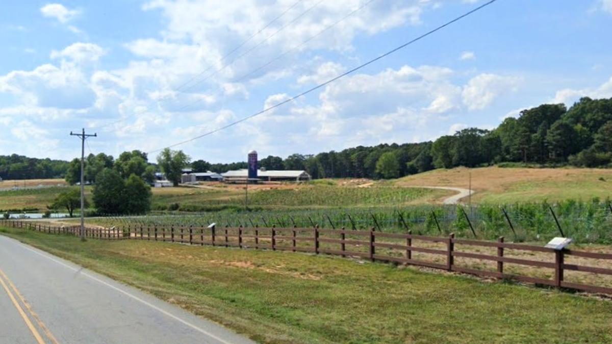 Greg Bohlen bought the former Maple View Farm in 2021 and established Union Grove Farm, a vineyard covering hundreds of acres on Dairyland Road in rural Orange County, NC.