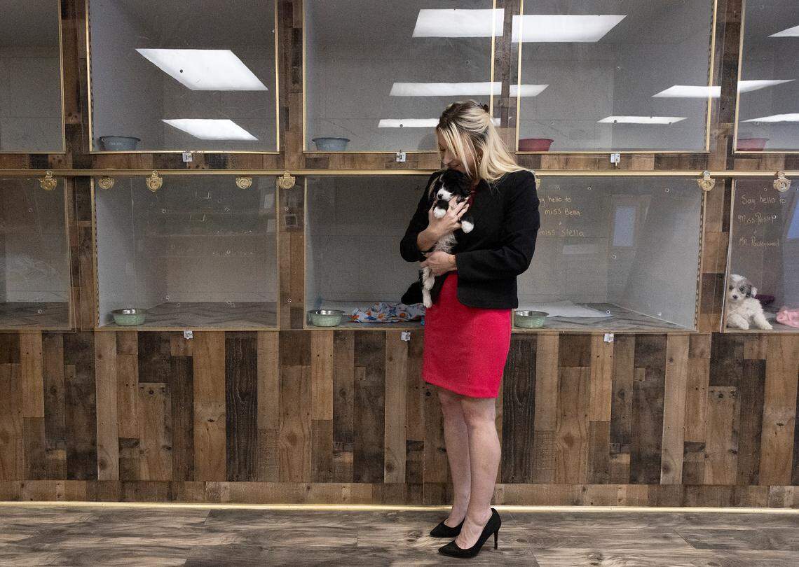 Jacklyn Barefoot, owner of Petopia, holds an eight-week-old Aussiedoodle puppy at her store in downtown Raleigh, N.C. on Tuesday, Jan. 14, 2025.