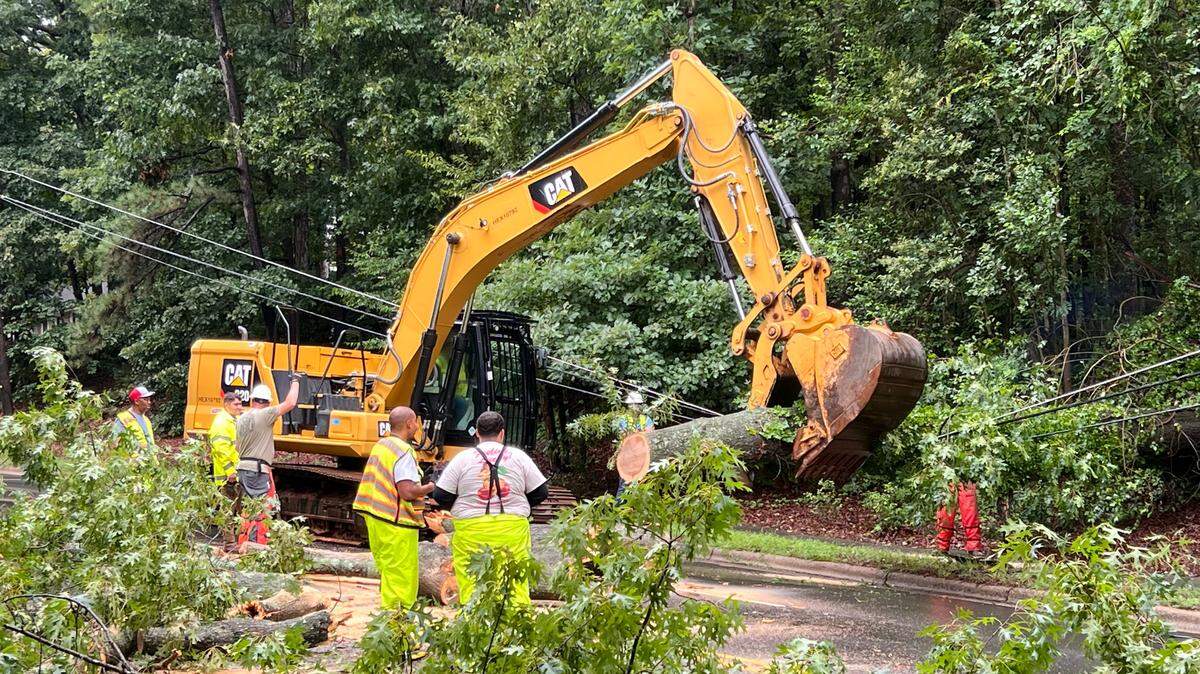 Crews work to remove a large tree that fell, taking down power lines and blocking Wade Avenue near Dixie Trail, Friday morning, August 9, 2024 in Raleigh.