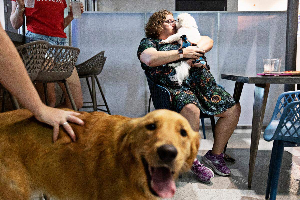Thompson, left, gets a scratch as Anna Gardner cuddles her dog, Toby, at West Street Dog in Raleigh on Wednesday afternoon, Aug. 25, 2021. West Street Dog is the first off-leash dog bar in Raleigh, serving beers for humans and an indoor dog park for the dogs.