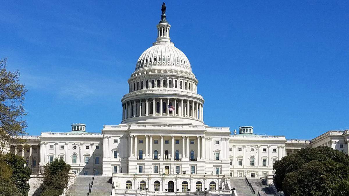 What NC candidates say Congress should do about DACA and documented dreamers