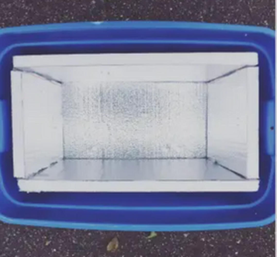 A box made from foam insulation fits inside a plastic tote to provide a warm shelter for feral cats.
