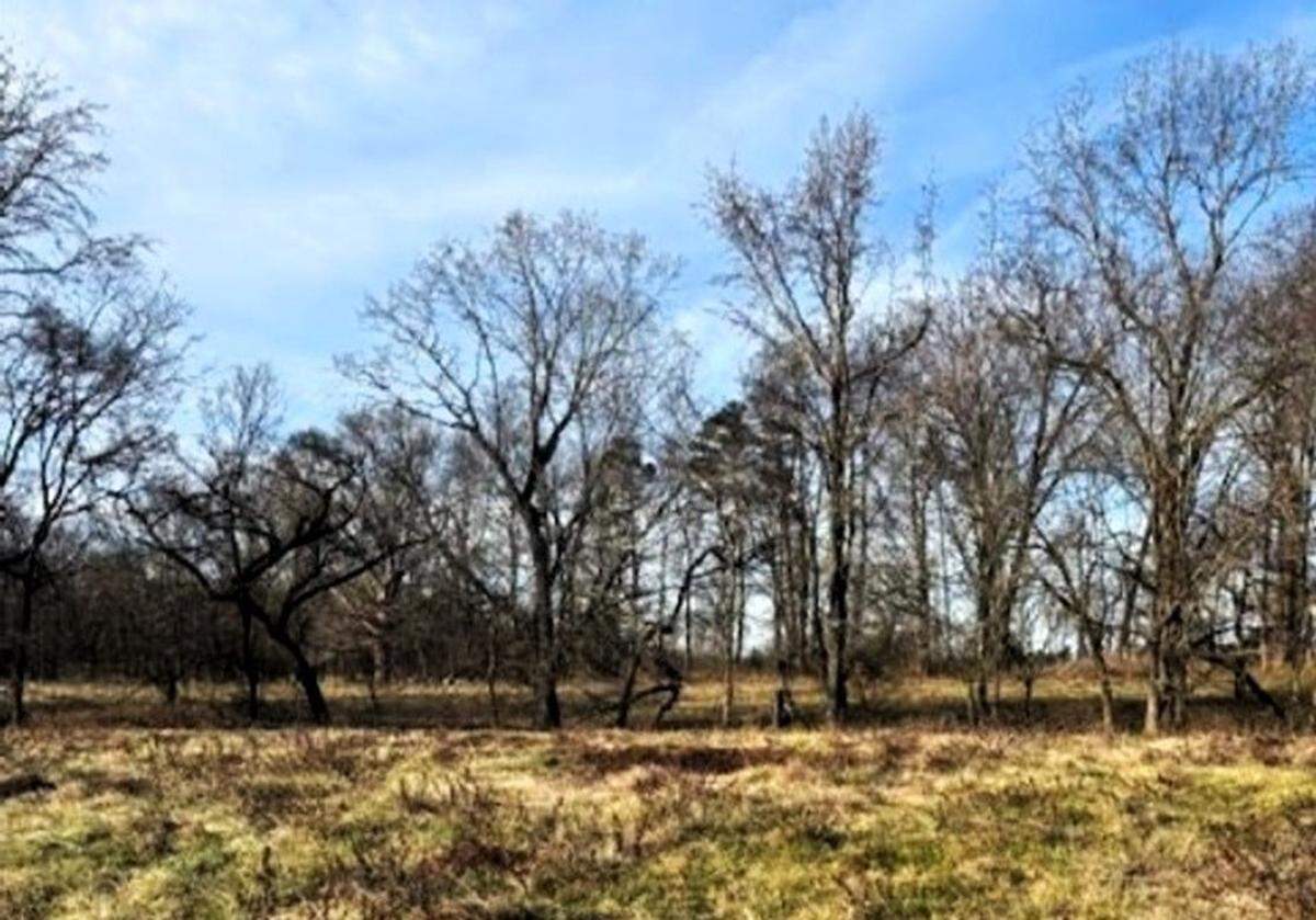 The Chatham County Commissioners approved Bramblewood, a 60-home subdivision on nearly 124 acres, on Tuesday, March 24, 2026. The development will be built on U.S. 64 west of Pittsboro.
