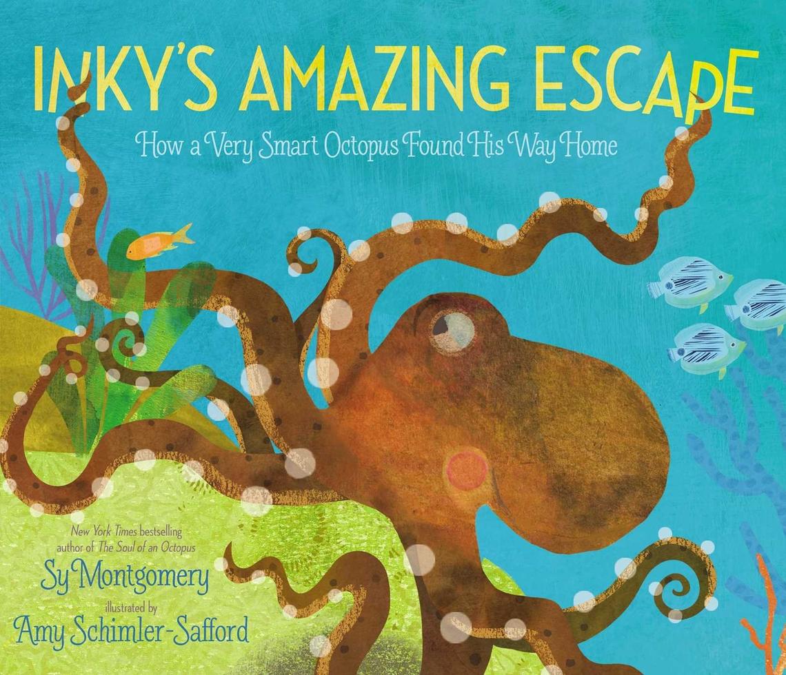 Noted nature-writer Sy Montgomery writes of the real life adventures of an escaped octopus in “Inky’s Amazing Escape: How a Very Smart Octopus Found His Way Home.”