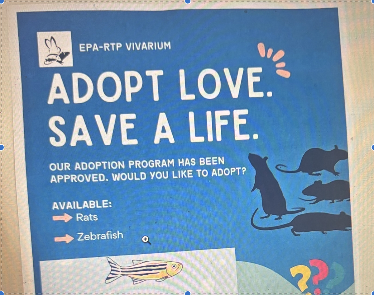 A sign at the Environmental Protection Agency campus in Research Triangle Park, N.C. advertises rats and zebrafish for adoption in 2025.