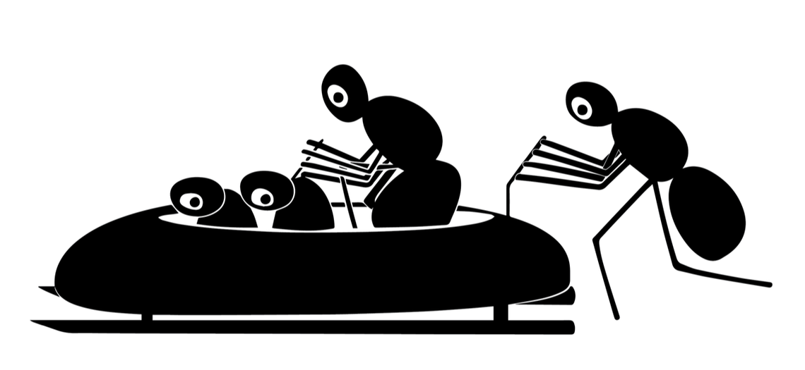 E.O.’s Atheltic Club, a new sports bar coming to downtown Durham, is a play on biologist E.O. Wilson’s comparison of ants and sports fans.