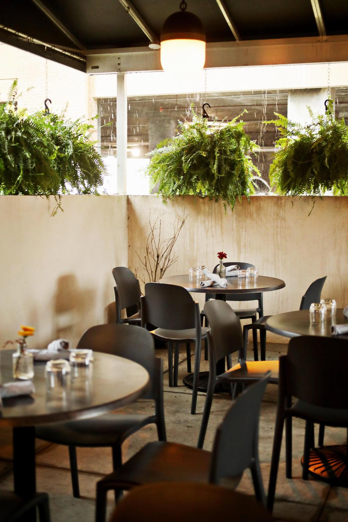 Hawthorne & Wood’s large space is broken into sections — cozy banquette, large convivial lounge and a lavishly landscaped courtyard, all united by a casually elegant contemporary decor.